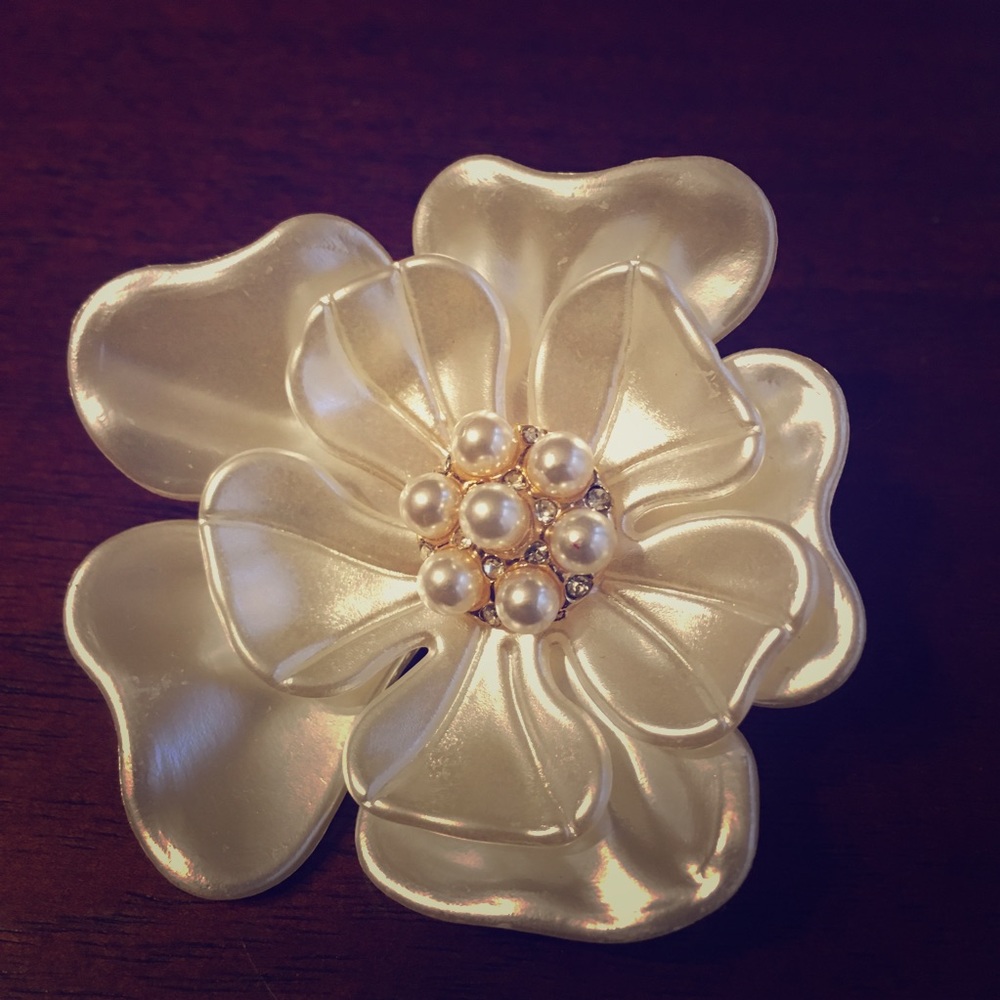 Beautiful brooch